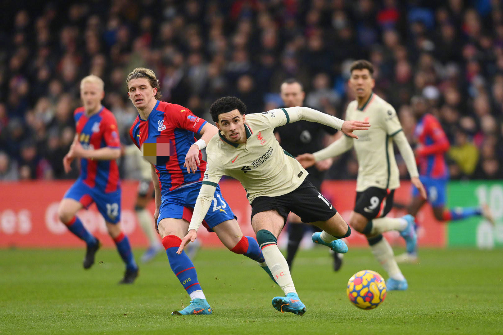 小赵在春节 小赵在春节