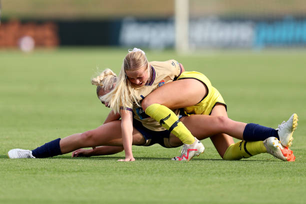 職業球員的 職業球員的