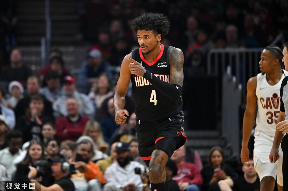 专业团队的 专业团队的