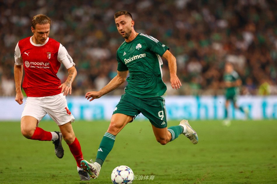 盖面积大 盖面积大